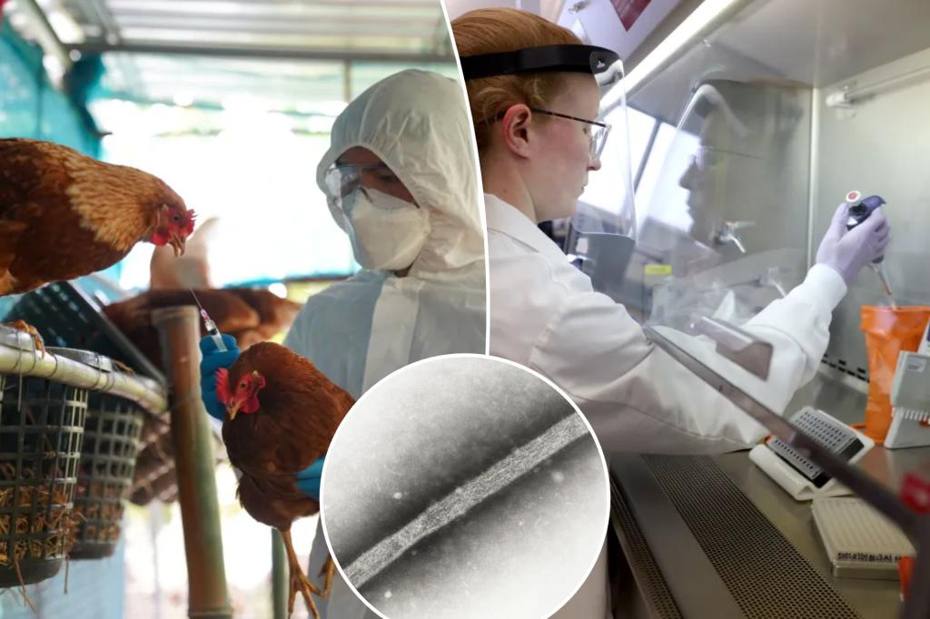 Canada discovers first suspected case of H5 bird flu: 'A rare event'